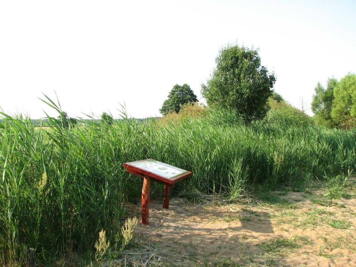 Strefa Kampinos Villa Brochow Ngoại thất bức ảnh